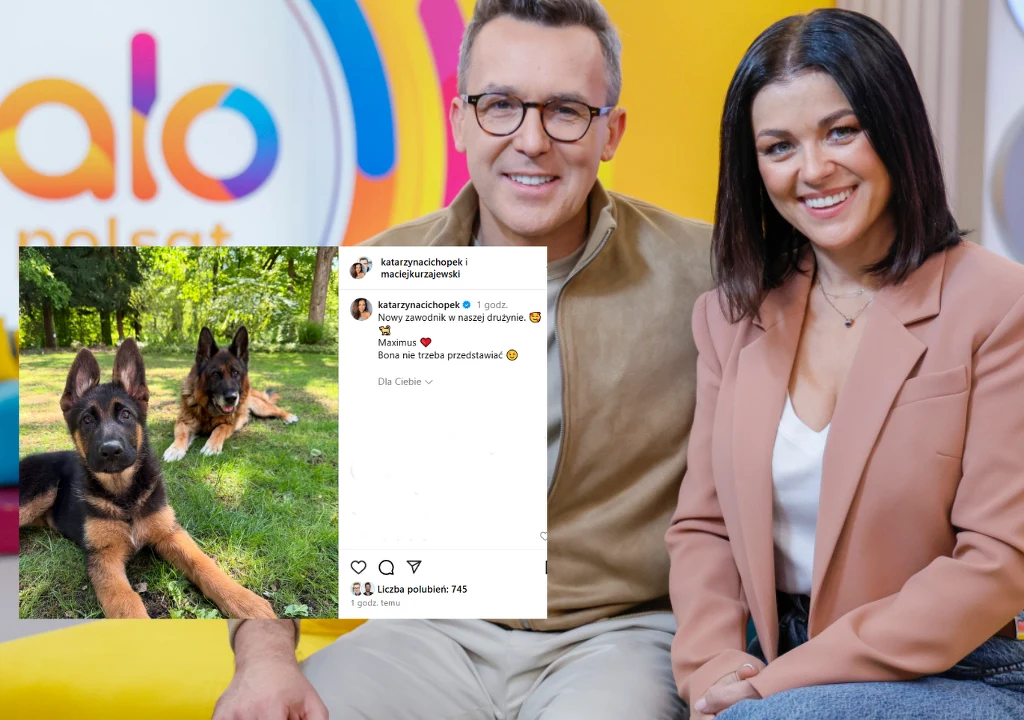 Katarzyna Cichopek, Maciej Kurzajewski mają nowego psa Katarzyna Cichopek, Maciej Kurzajewski mają nowego psa