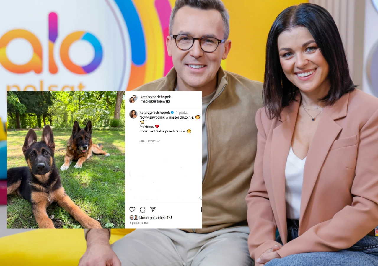 Katarzyna Cichopek, Maciej Kurzajewski mają nowego psa