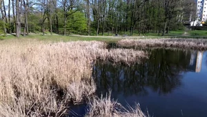 Wrocławianie pomagają monitorować wody