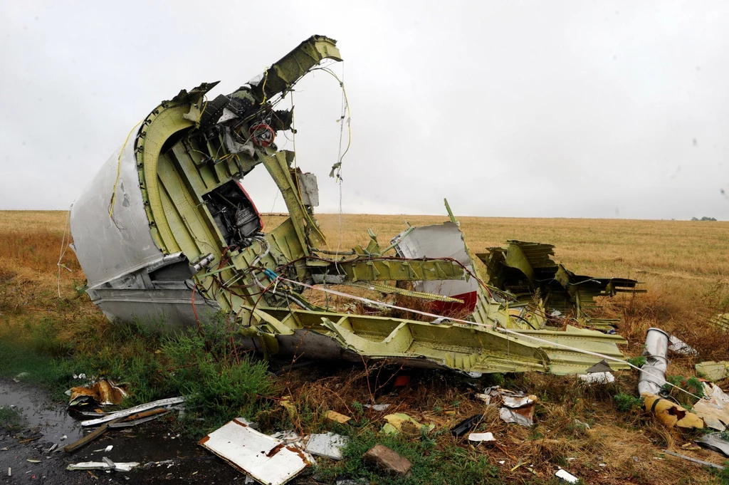 Zestrzelenie samolotu MH17 Zestrzelenie samolotu MH17