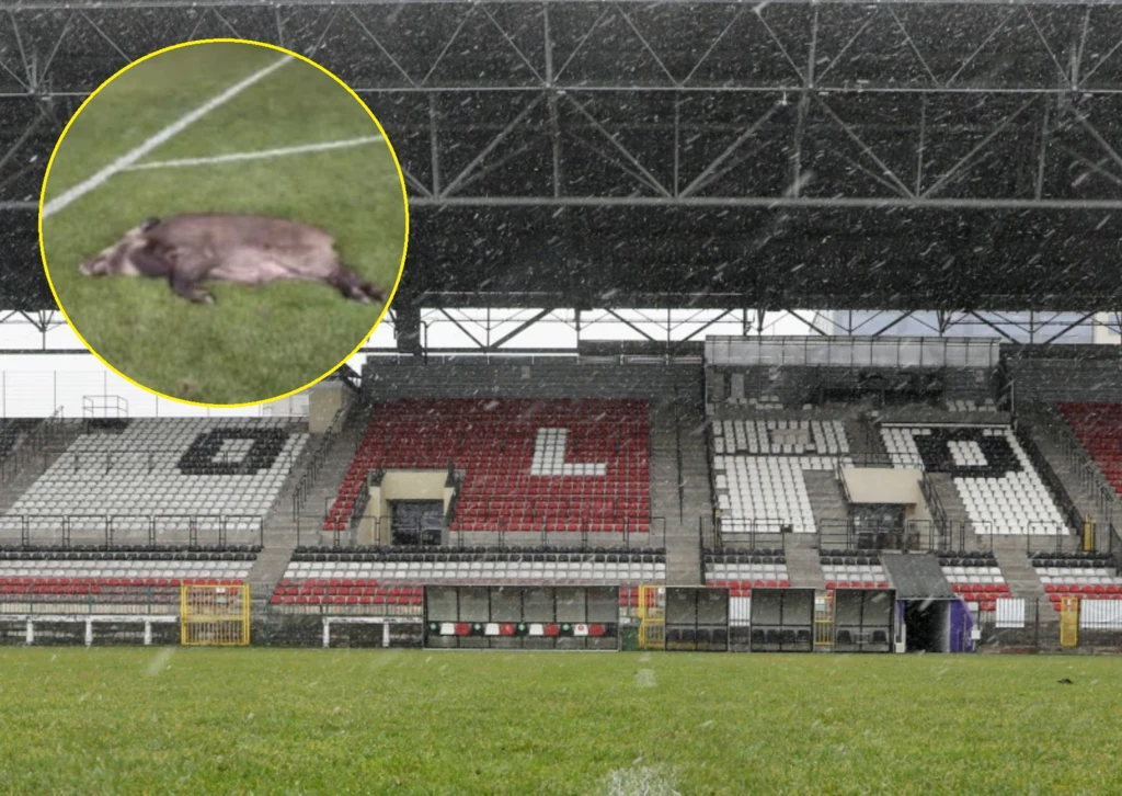 Trybuna na stadionie Polonii Warszawa/ źródło: screen/Polonia Warszawa/list otwarty Trybuna na stadionie Polonii Warszawa/ źródło: screen/Polonia Warszawa/list otwarty