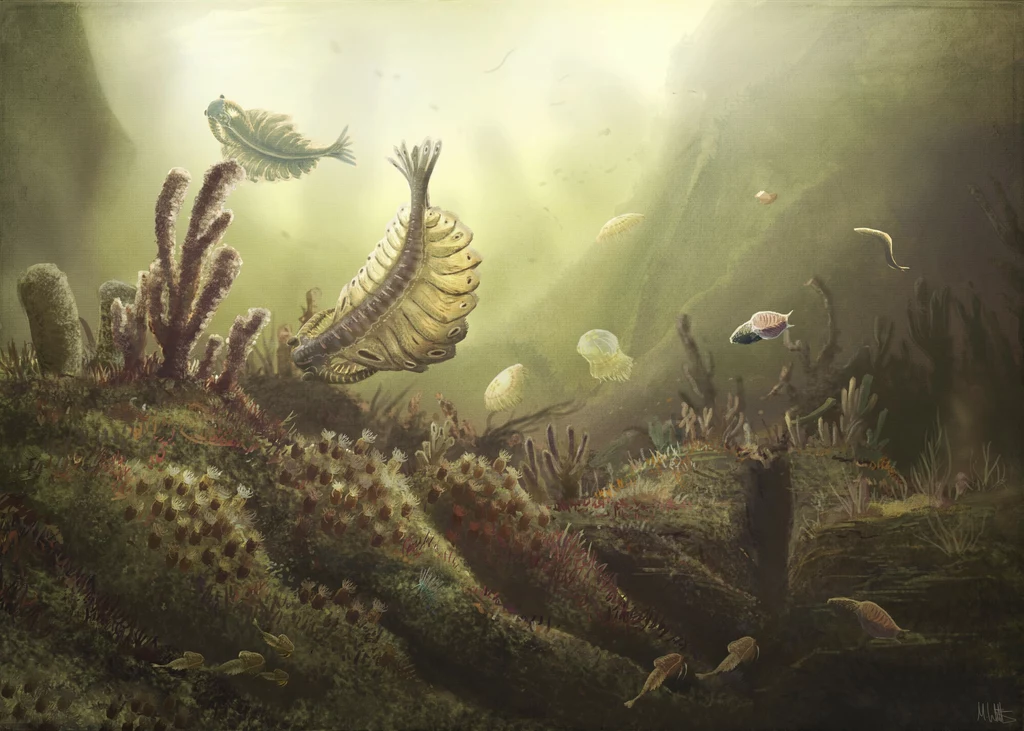Ocean w kambrze. Trwa eksplozja życia, pojawiają się pierwsze drapieżniki Scena podwodna z różnorodnymi prehistorycznymi stworzeniami, roślinnością i jasnym światłem w tle, tworzącym tajemniczy i starodawny klimat.