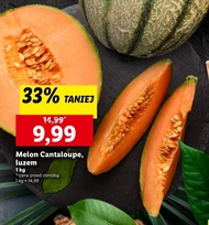 Melon