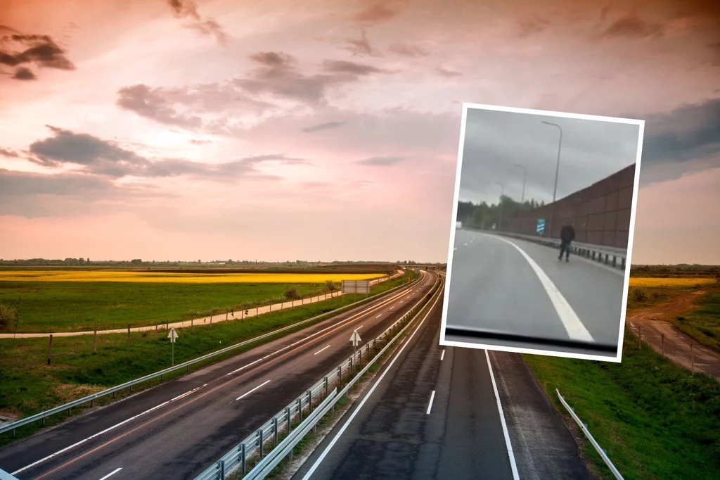 Ten spacer mógł się źle skończyć dla pieszego. Ten spacer mógł się źle skończyć dla pieszego.