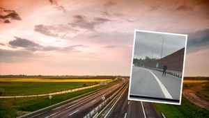 Ten spacer mógł źle się skończyć. Policja interweniowała na S7