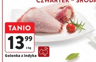 Golonka