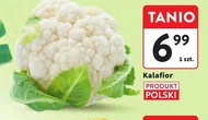 Kalafior Polski