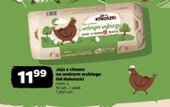 Jaja Od Kokoszki