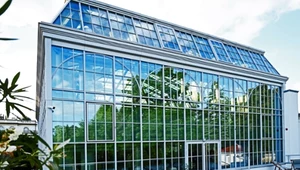 Nowa oranżeria skrywa cenną kolekcję roślin. Tropikalne okazy zachwycają