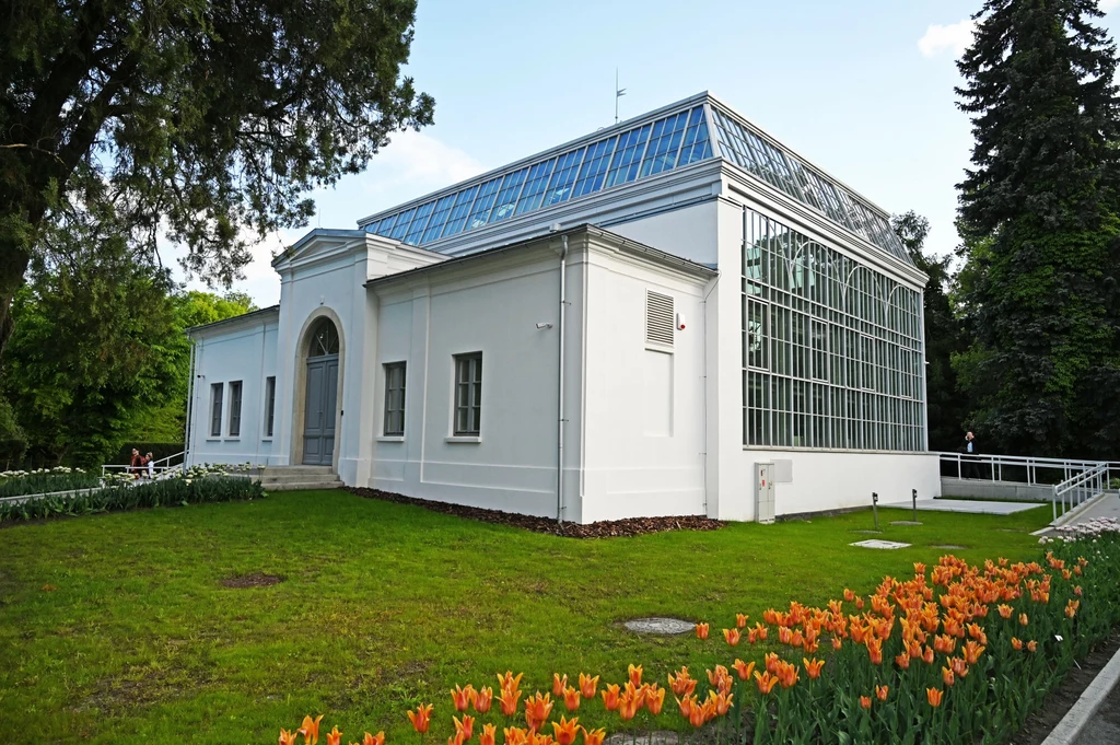 Ogród Botaniczny UJ. Otwarcie nowej Oranżerii Warszewicza po odbudowie Zabytkowa oranżeria z białymi ścianami i przeszklonym dachem otoczona zielonym ogrodem z rzędem kwitnących pomarańczowych tulipanów.
