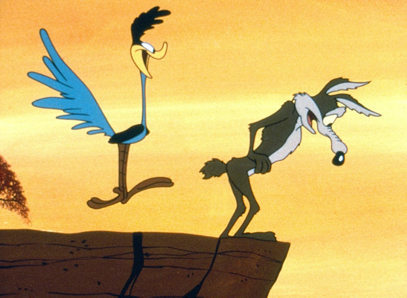 Nazwanie przeciwnika kojota Willusia per Struś Pędziwiatr to polski wymysł i błąd Scena z kreskówki przedstawiająca kojota i strusia znajdujących się na skraju urwiska. Kojot wygląda na zaskoczonego i zawieszonego w pozie, jakby miał zaraz spaść, podczas gdy struś z uśmiechem go obserwuje.