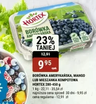 Чорниця Hortex