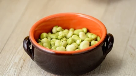 Spożywanie młodego bobu pozwala dostarczyć organizmowi cennych wartości odżywczych 