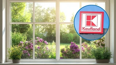 Pelargonie, tuje i warzywa już od 5,99 zł! Ogrodowa promocja w Kauflandzie jeszcze przez chwilę