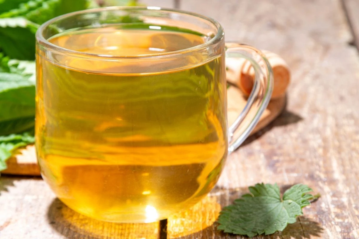 Napar z pokrzywy pomoże przywrócić ciału równowagę Przezroczysty kubek wypełniony jasnozielonym naparem z ziół, stojący na drewnianym stole, obok kilka świeżych liści pokrzywy.