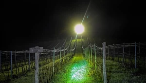 Powrót zimnych ogrodników. Ostrzeżenia w siedmiu województwach