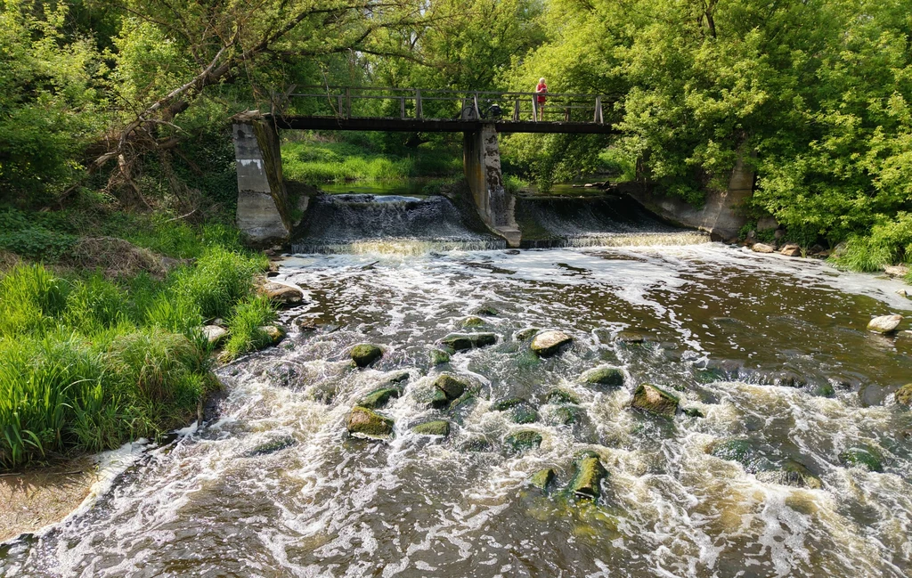 Tamy hamują naturalny rytm rzek Tamy hamują naturalny rytm rzek