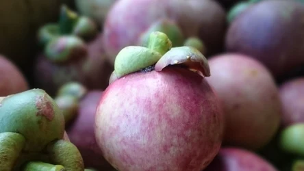 Owoc ma działanie antyoksydacyjne, przeciwzapalne, a także wspomaga układ pokarmowy, odporność i metabolizm.