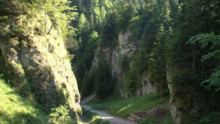 Kojarzysz tę atrakcję w Pieninach?