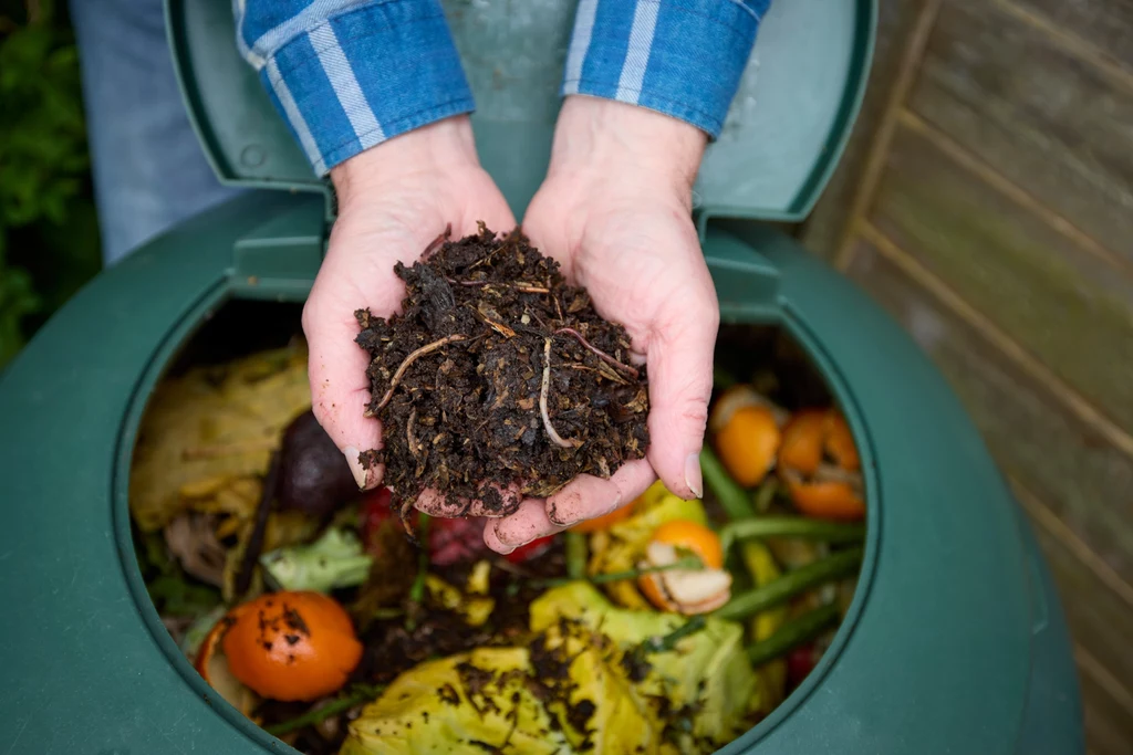 Dżdżownice to mistrzynie recyklingu – i sekret dobrego kompostu Dżdżownice to mistrzynie recyklingu – i sekret dobrego kompostu