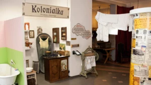 Guziki, żaby i historia brudu. Osiem polskich muzeów, które wymykają się schematom 