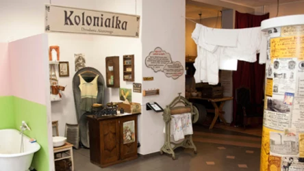 Guziki, żaby i historia brudu. Osiem polskich muzeów, które wymykają się schematom 