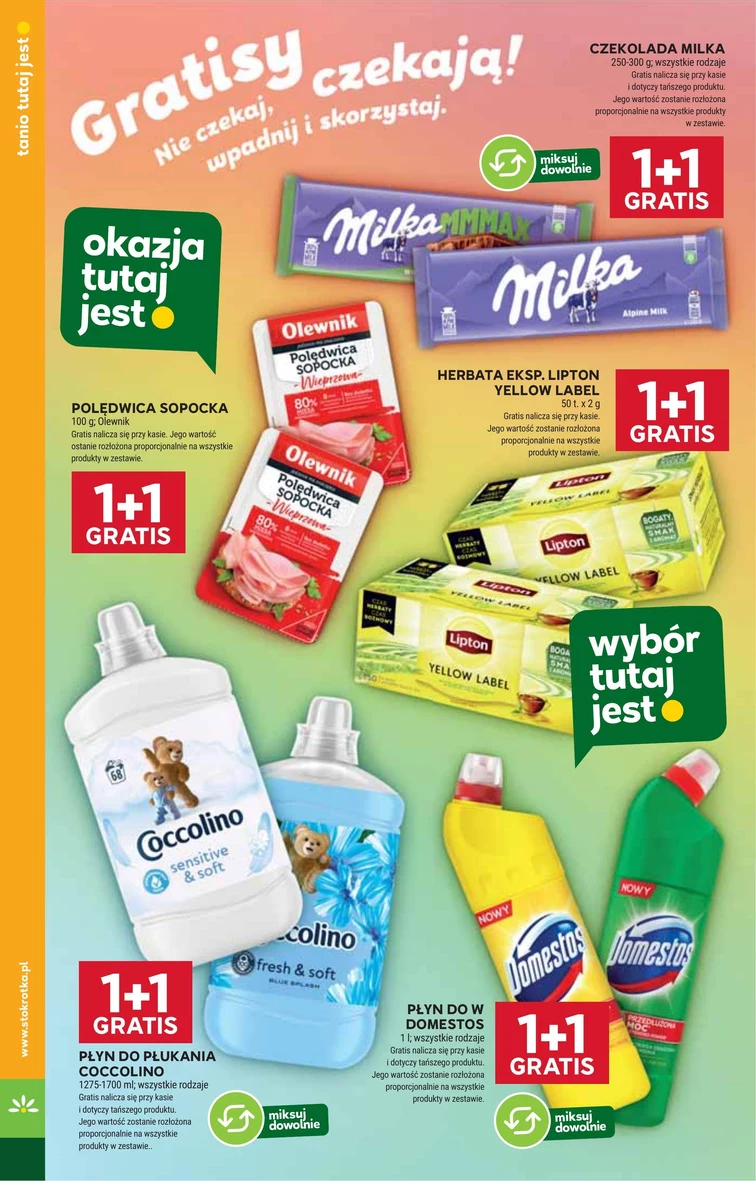 leaflet page preview image