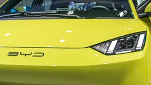BYD Dolphin Surf rzuci wyzwanie Dacii. Co o nim wiemy?