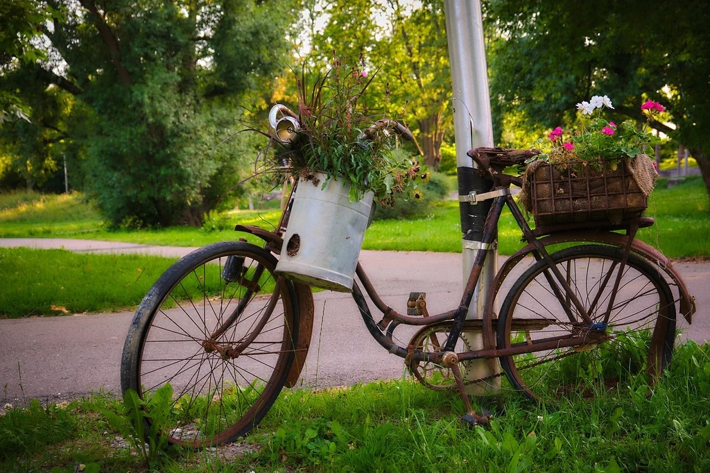 Fot. pixabay.com/ danielkirsch