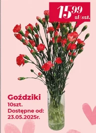 Goździki