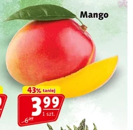 Манго Mango