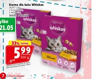 Karma dla kota Whiskas