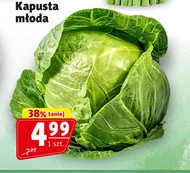 Молода капуста