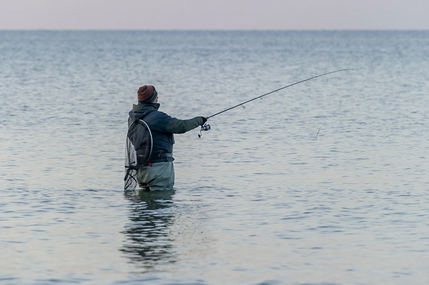 Pięć osób trafiło do szpitala po spożyciu ryb z Zalewu Wiślanego (zdjęcie ilustracyjne) Pięć osób trafiło do szpitala po spożyciu ryb z Zalewu Wiślanego