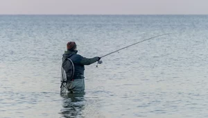 Zjedli ryby z Zalewu Wiślanego. Pięć osób w szpitalu