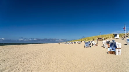 Wyspa Sylt nazywana jest perłą Morza Północnego. Dlaczego warto wpisać ją na listę podróżniczych celów?