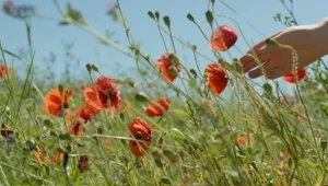 Czy potrafimy dorosnąć, nie tracąc wrażliwości? Bezbronne spojrzenie dziecka