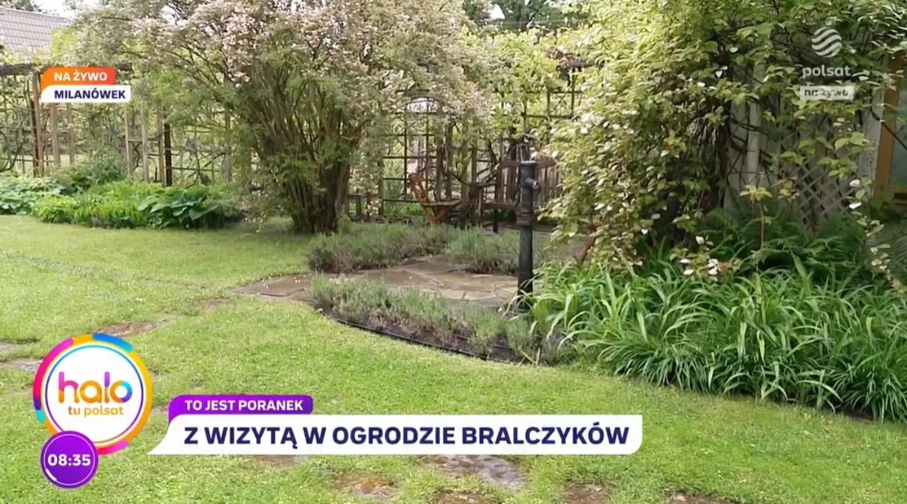 W ogrodzie Jerzego Bralczyka