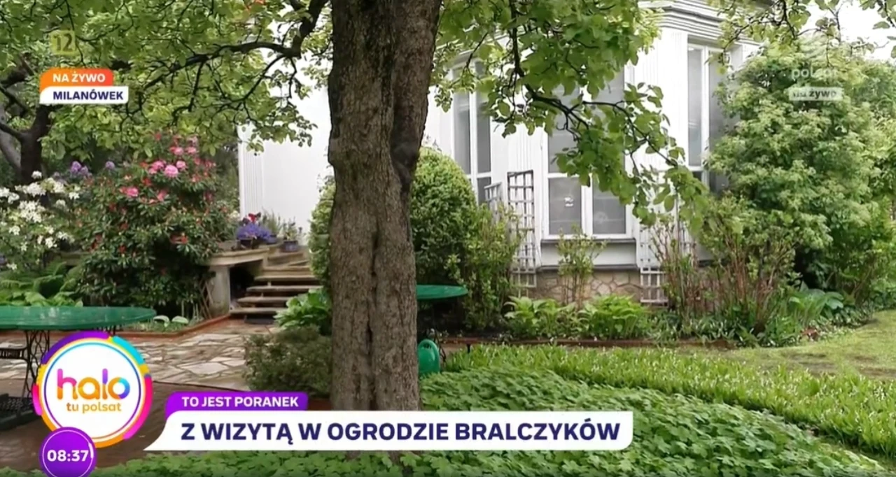 W ogrodzie Jerzego Bralczyka