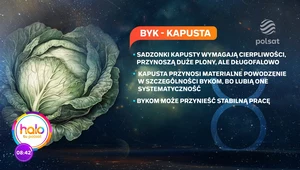 Horoskop ogrodniczy: Jakie warzywa przyniosą ci pieniądze według znaku zodiaku?