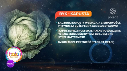 Horoskop ogrodniczy: Jakie warzywa przyniosą ci pieniądze według znaku zodiaku?