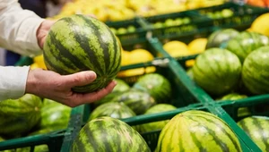 Tak rozpoznasz najsłodszego arbuza. Chodzi o kolor skórki i plamę gruntową