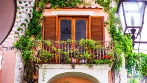 Zielone pnącza na balkon. Co warto posadzić na wiele lat?
