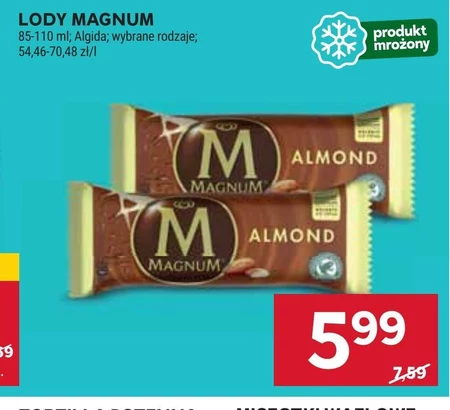 Lody Magnum