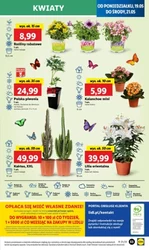 360 powodów do zakupów – Lidl
