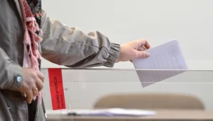 Znamy lidera poparcia amerykańskiej Polonii. Najnowsze doniesienia