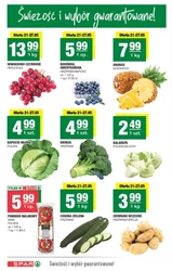 Soczyste oferty tygodnia - SPAR