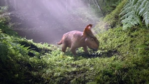 Kadr z filmu "Walking with dinosaurs 3D" z 2013 roku