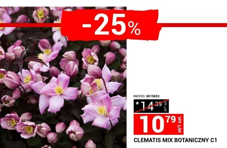 Клематис