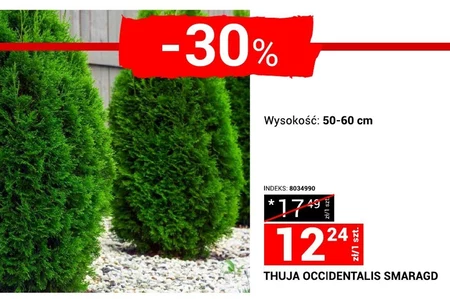 Thuja Indeks